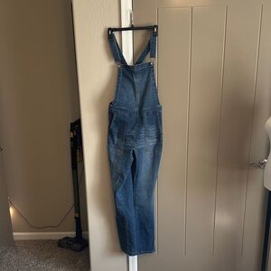 Wallflower Classic Blue Women's Denim Overalls